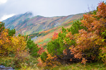 富山県立山町の立山の秋の紅葉の季節に登山している風景 Scenery of climbing Tateyama Mountain in Tateyama Town, Toyama Prefecture, Japan during the season of autumn leaves. 