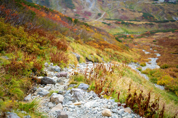 富山県立山町の立山の秋の紅葉の季節に登山している風景 Scenery of climbing Tateyama Mountain in Tateyama Town, Toyama Prefecture, Japan during the season of autumn leaves. 