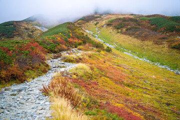 富山県立山町の立山の秋の紅葉の季節に登山している風景 Scenery of climbing Tateyama Mountain in Tateyama Town, Toyama Prefecture, Japan during the season of autumn leaves. 