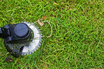 Petrol lawn mower trimmer with motor cutting grass Cutting grass in the garden.