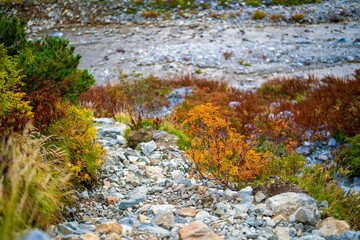 富山県立山町の立山の秋の紅葉の季節に登山している風景 Scenery of climbing Tateyama Mountain in Tateyama Town, Toyama Prefecture, Japan during the season of autumn leaves. 