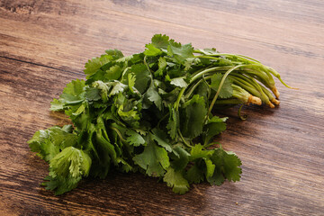 Fresh green Coriander leaves heap