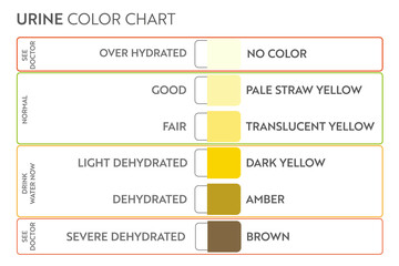 Urine color chart. Pee hydration and dehydration test strip. Vector design for medical education poster.