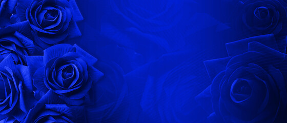 template blue rose flowers on blur blue roses flower background, nature, love, valentine, buddha, banner, template, copy space