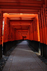 Fototapeta premium 鳥居