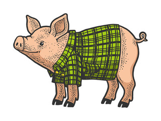 Pig in plaid shirt sketch raster illustration