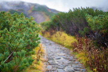 富山県立山町の立山の秋の紅葉の季節に登山している風景 Scenery of climbing Tateyama Mountain in Tateyama Town, Toyama Prefecture, Japan during the season of autumn leaves. 