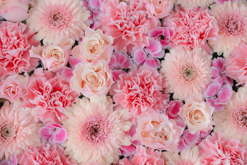 Flowers composition. Floral texture made of pink flower