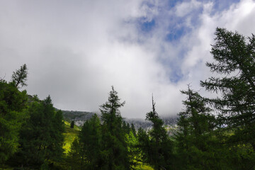 dense clouds and fog over the mountains while hiking through a forest
