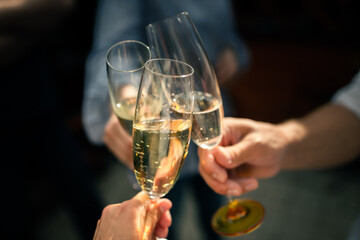 Fototapeta Friends raise glasses of champagne at a party obraz