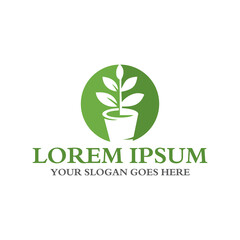 leaf logo , environment logo vector