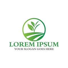 leaf logo , environment logo vector