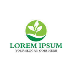 leaf logo , environment logo vector