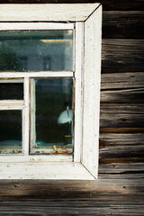 Wooden window in a wooden house in the village