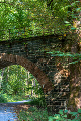Old stone railway bridge with moss surrounded by trees