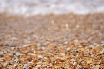 A crashing blue and green wave of water and sand on the ocean shore. Background for design with sea shells