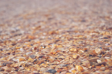 A crashing blue and green wave of water and sand on the ocean shore. Background for design with sea shells