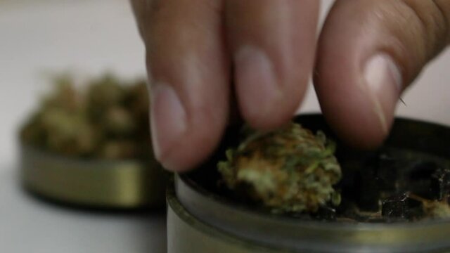 rellenando moledor - rellenando moledor con mota - rellenando mota - marihuana - weed - dope