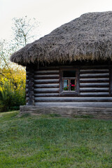 Thatched roof house in the village