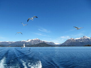 Natural landscape on the lake Nahuel Huapi, San Carlos de Bariloche, Argentina. View of the snow-capped mountains, waves and seagulls from the ship, powerboat.
