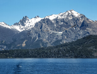 Obraz premium Natural landscape on the lake Nahuel Huapi, San Carlos de Bariloche, Argentina. View of the snow-capped mountains, waves and seagulls from the ship, powerboat.