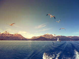 Natural landscape on the lake Nahuel Huapi, San Carlos de Bariloche, Argentina. View of the snow-capped mountains, waves and seagulls from the ship, powerboat.