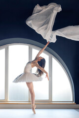 Young motivated ballerina dressed in white tutu costume practice ballet moves at ballet studio in...