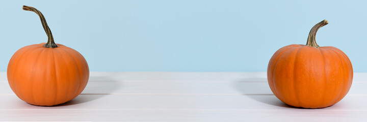 Two ripe orange pumpkin on a blue background banner with copy space. Autumn harvesting or Happy Halloween concept.