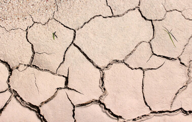 Pattern formed in dry and cracked earth with signs of new life green grass sprouting up. Global warming drought concept. 