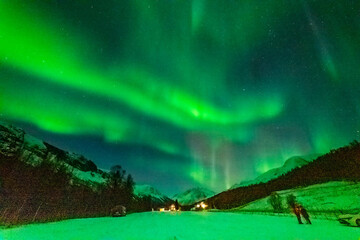 wundervolle Nordlichter in Troms in den Lyngenalps. begeisterndes Lichtspiel am nächtlichen Himmel, über einer beleuchteten Farm in Lakselvdal. Aurora Borealis bei Tromsö, Norwegen