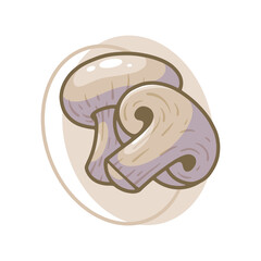 Mushroom vegetables drawing illustration design