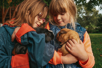 Girlfriends girls play with pets. Children and guinea pigs.