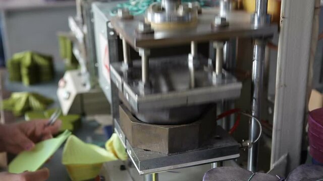Artificial flower painting machine. A woman at the enterprise produces synthetic flowers for decoration.Technological process of making non-fresh flowers.Video contains sound.