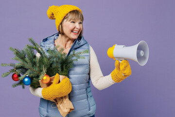 Mature elderly woman 55 years old wears blue waistcoat yellow hat mittens hold spruce branches...