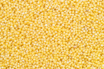 scattering of millet grains