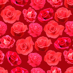 Pattern of beautiful red roses. Red roses. 
