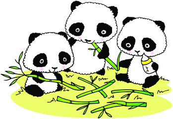 vector cartoon panda eating bamboo and milk