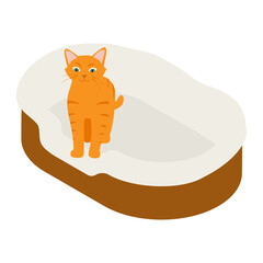 Ginger cat in his soft cozy bed cushion