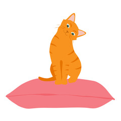 Obraz premium Cute orange cat sitting comfortably on cushion pillow