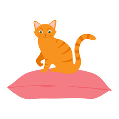 Cute orange cat sitting comfortably on cushion pillow