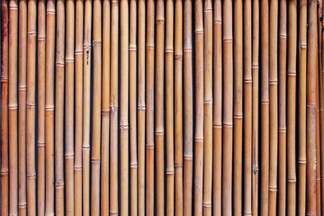 bamboo wall abstract texture background composition, top view above