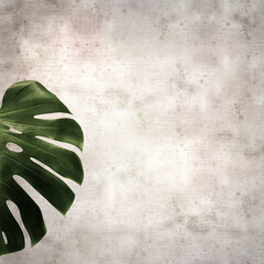 Naklejka na ściany i meble stylish textured old paper square background with dark green leaf of Monstera plant