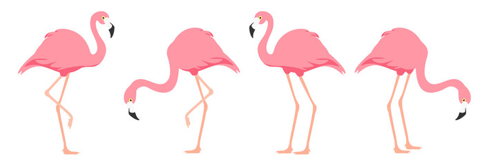 Flamingo tropical bird. Pink flamingo. Vector © viktorijareut