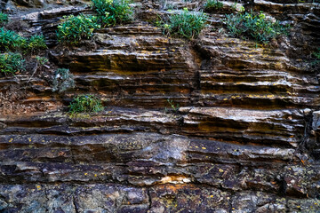 Basalt rocks, rocks covered with vegetation , plants growing through the rocks 