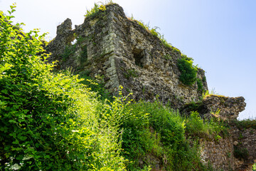 Ruins of Khust castle which was built as a fortress to protect the salt road from Solotvyno in...