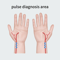 진맥을 하는 부위