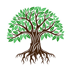Illustration of a tree with roots on a white background.