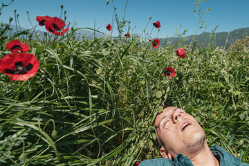 Man is sleeping deeply in a field of wild plants with red flowers of Papaver somniferum poppies....