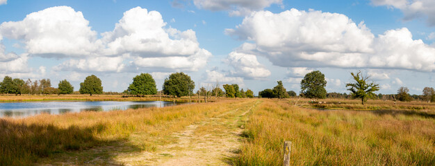 Beautiful peat landscape with the name 'Amsterdamsche Veld' divided into the areas 'Bargerveen',...