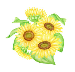 Watercolor sunflowers bouquet illustration. Hand painted bunch of yellow flowers with leaves isolated on white background. Bright floral arrangement for cards, invitations, design, printing.